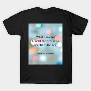 Stoic Wisdom: Bee's Lesson in Maximizing Benefits T-Shirt